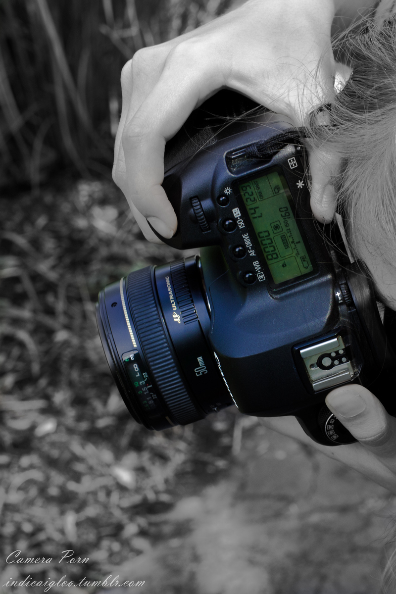 Illustration for article titled Camera Porn (In One Giant Post)